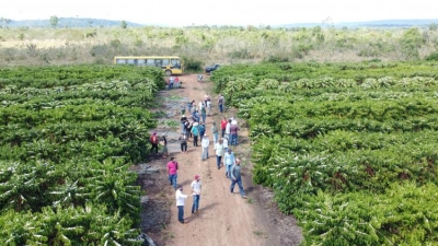 A Prefeitura Municipal de Nova Bandeirantes juntamente com a EMPAER realiza uma excursão em busca de novos conhecimentos para cafeicultura